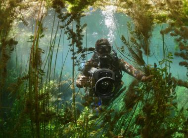 Naturdokus mit VR erleben