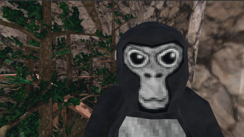 Gorilla Tag: Laufen, klettern & springen in VR